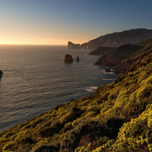 I segreti della longevità in Sardegna: la Blue Zone italiana